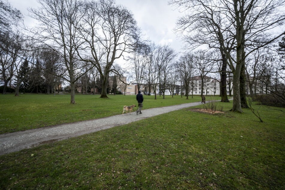 Am Donnerstagnachmittag wurden einem 18-Jähriger im Park der Opfer des Faschismus Geld und Tabakwaren geklaut. (Archivbild)