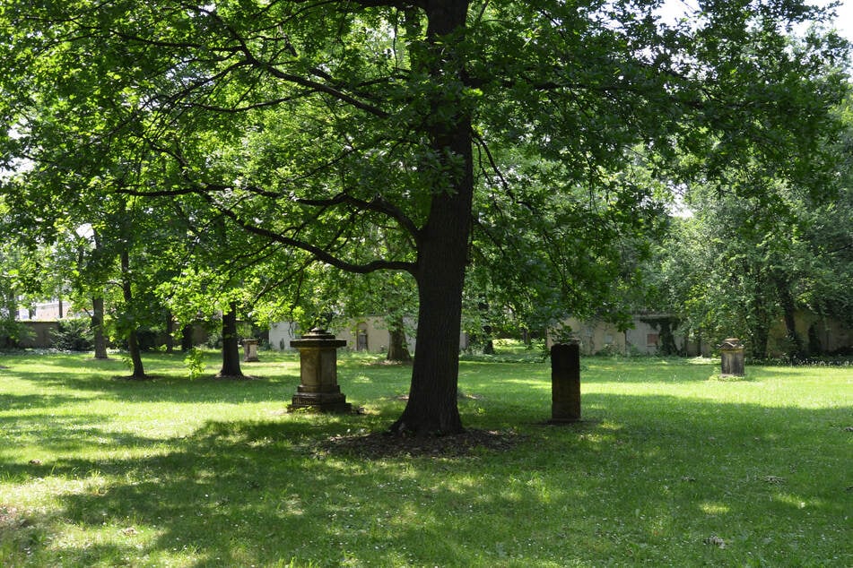 Der Alte Johannisfriedhof kann am Sonntag bei einer Gruseltour erkundet werden. (Archivbild)