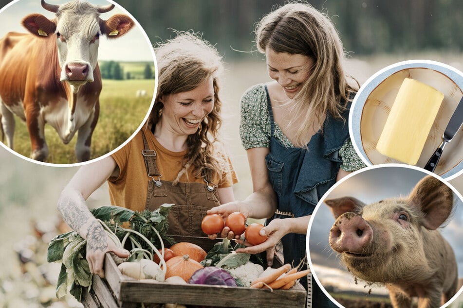 Nicht nur Liebe geht durch den Magen, Statistik auch: So viel essen die Sachsen im Jahr