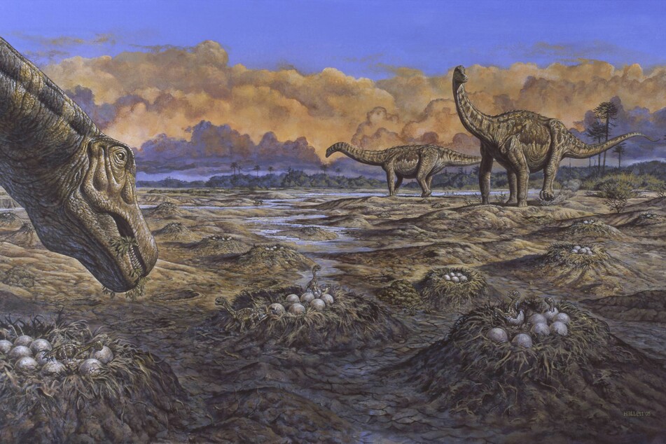 An illustration shows a nesting site of titanosaur dinosaurs, some of whose eggs have been found in present-day Madhya Pradesh, India.