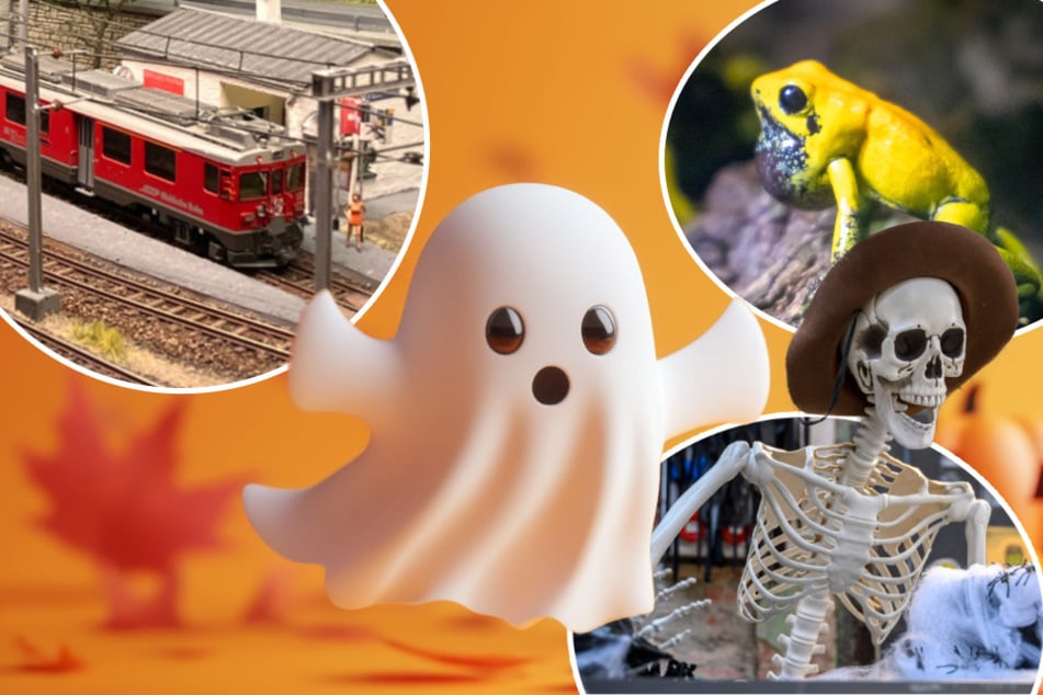 Nicht nur für Halloween-Fans: Mit diesen Ausflugstipps wird's garantiert nicht langweilig