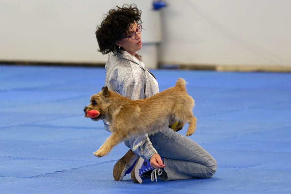 Během tří dnů hledá Německo nejlepší taneční dvojici člověk‑pes.