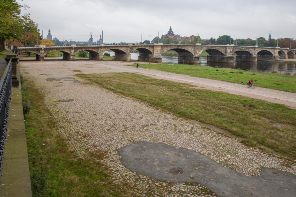 An der Albertbrücke könnte aus Sicht der FDP während des Striezelmarktes geparkt werden.
