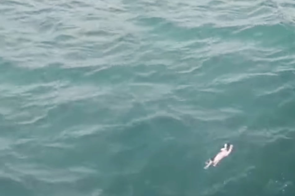 Paar geht am Meer spazieren: Was sie dort im Wasser treiben sehen, bricht ihnen das Herz