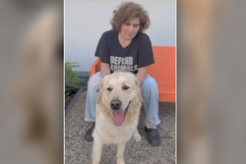 Golden Retriever Emma sucht nach einer neuen Bleibe bei Menschen, die sich mit ihrer Krankheit auskennen.