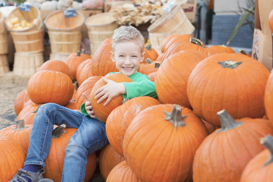 Ein buntes Programm rund um den Herbst - da ist für jedes Familienmitglied etwas dabei. (Symbolbild)