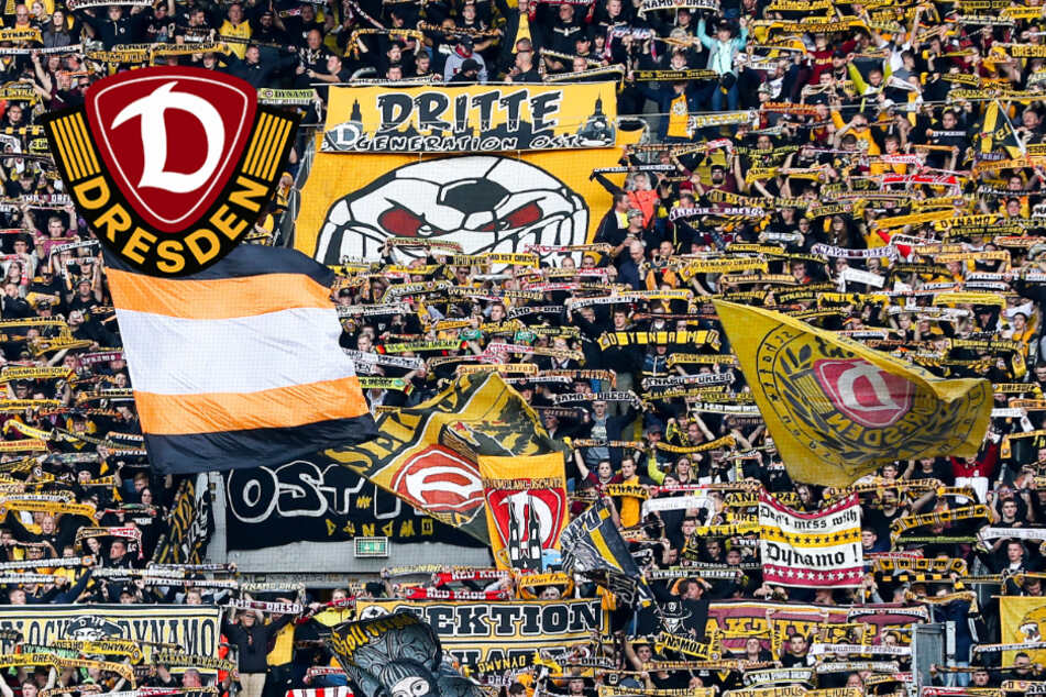 Auf Dynamo wartet Fan-Kontrastprogramm in Paderborn: "Muss uns egal sein"