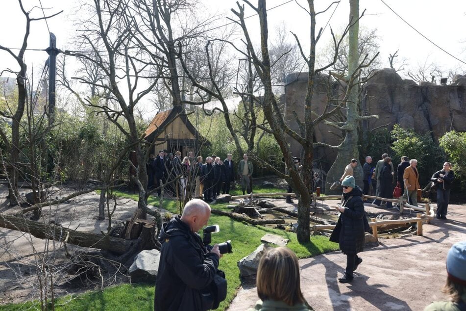In zehn Metern Höhe sind die Netze über dem "Loriversum" gespannt. Laut dem leitenden Architekten Peter Rasbach wurden insgesamt 2270 Quadratmeter Stahlnetz bei beiden Anlagen verbaut.