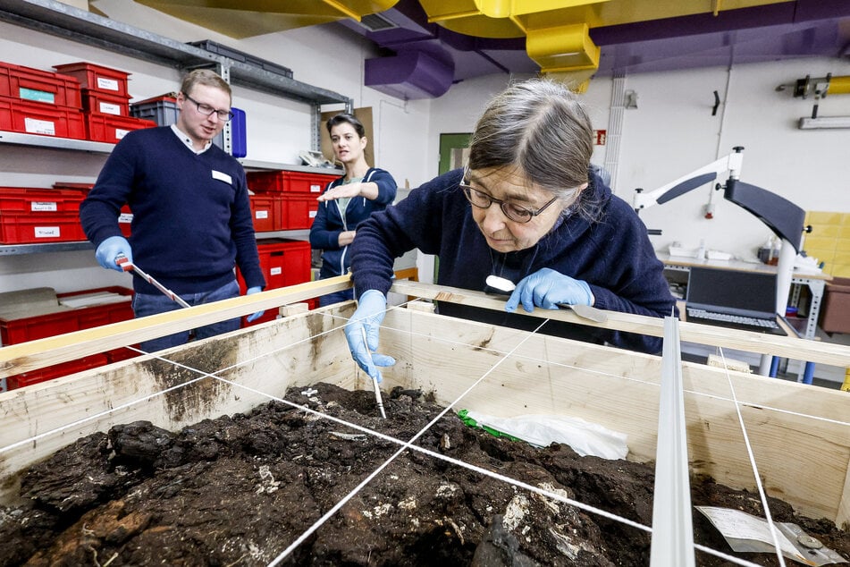 Im Labor im Schloss Gottorf arbeiten Archäologen und Archäologinnen an dem ältesten norddeutschen Grab.