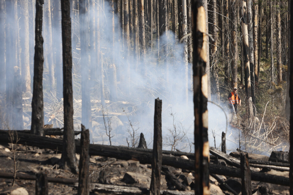 In der vergangenen Woche brannte es im Harz mehrere Tage lang. Bei der Ermittlung der Brandursache tun sich Schwierigkeiten auf.