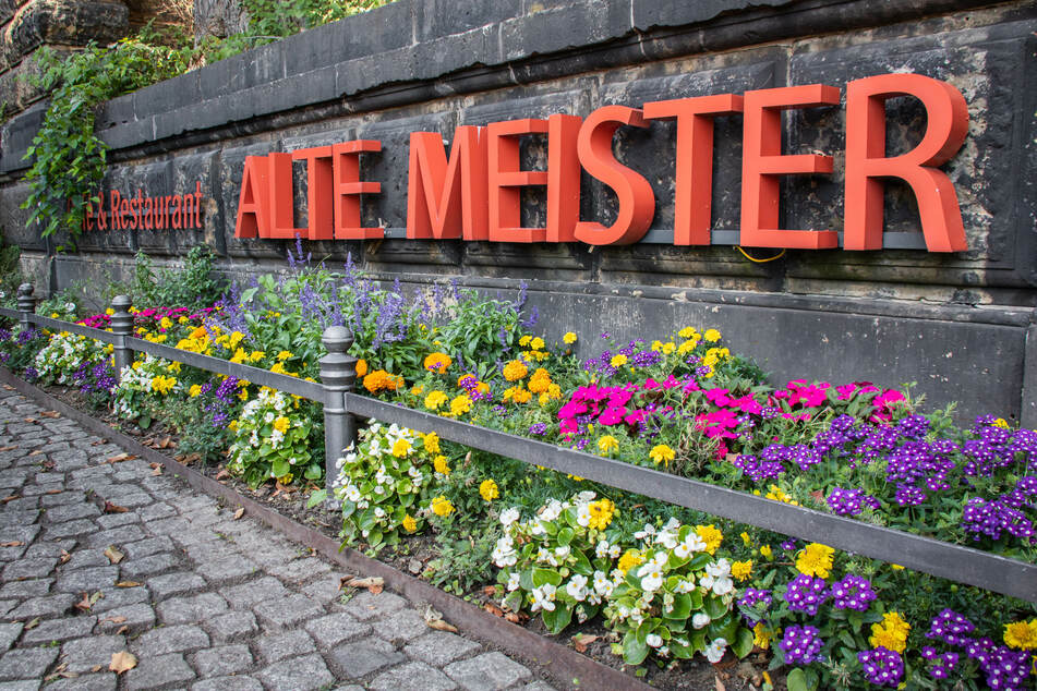 Das Café/Restaurant "Alte Meister" liegt direkt neben der Semperoper.