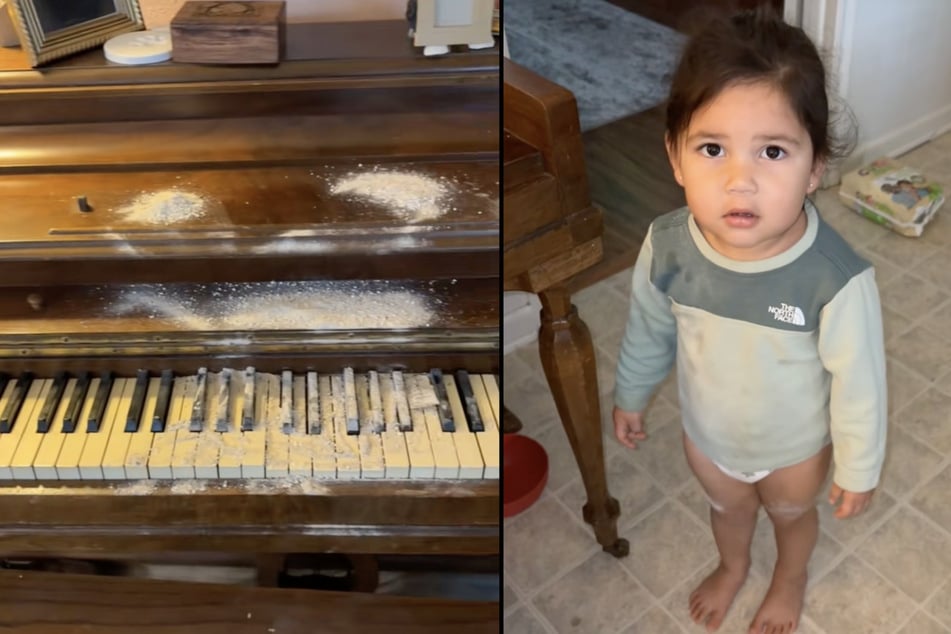 La pequeña Millie había destruido la urna en la que se había guardado la ceniza de su abuela, ¡y la había probado!