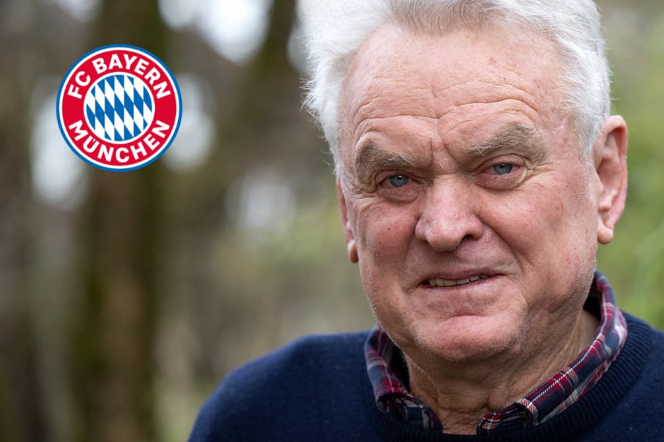 "Einfach nur dumm": Torwart-Legende Maier schießt gegen Hoeneß-Kritiker