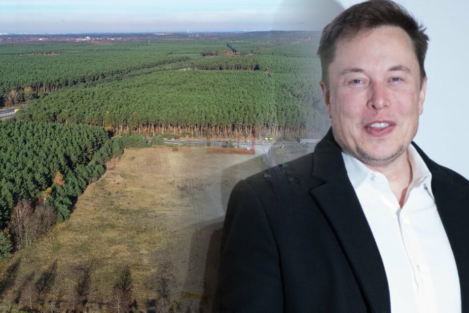 Erst arbeiten, dann feiern? Tesla-Boss Musk will Mega-Rave-Höhle unter Gigafactory bauen