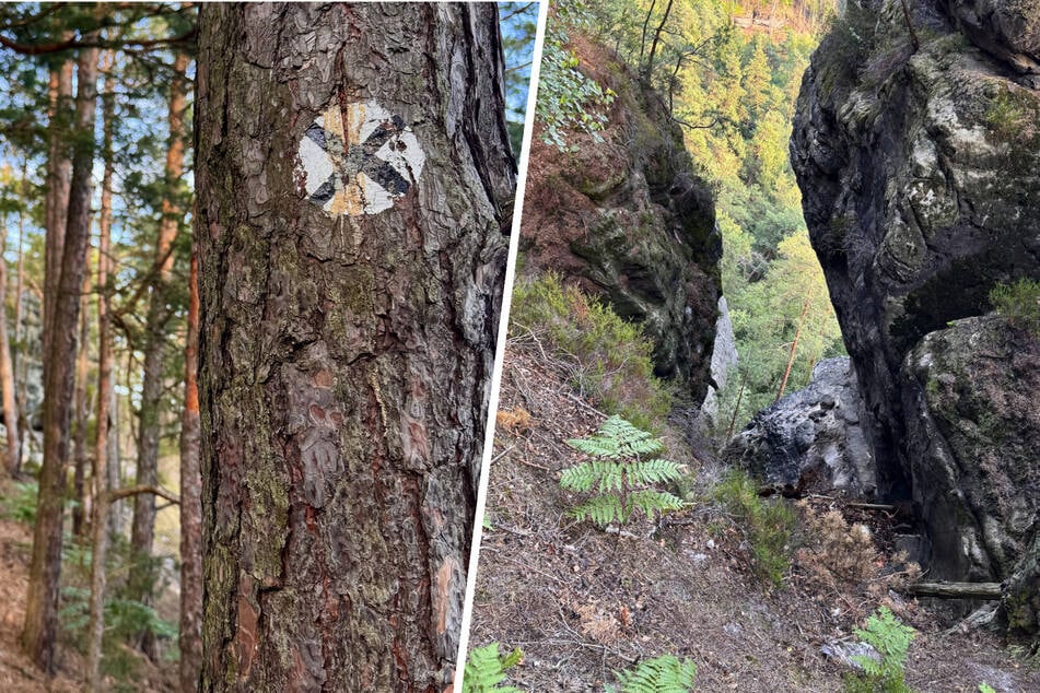20-Meter-Sturz in Sächsischer Schweiz: Wanderer hat doppelt Glück