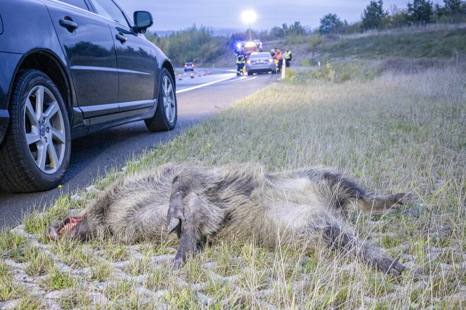 Bei der Kaskoversicherung fließen auch Wildunfälle in die Berechnung der Regionalklassen ein, aber auch Glasschäden, Fahrzeugbrände Schäden durch Naturereignisse und Autodiebstähle