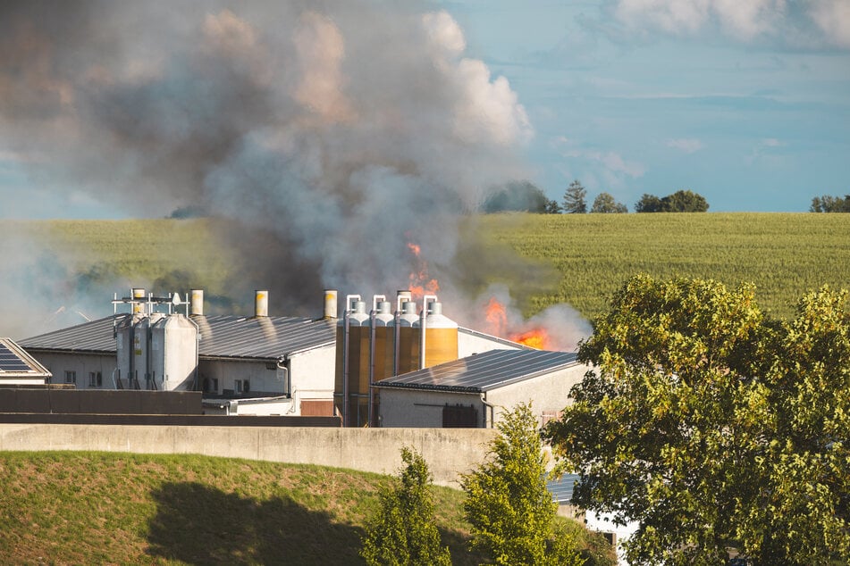 In einer Stallung brach der Brand aus noch unklarer Ursache aus.
