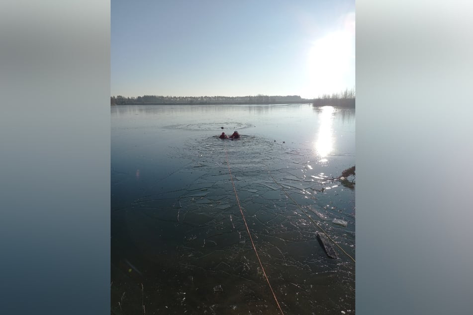 Záchranáři požární služby plavali k čtyřnohému ven.