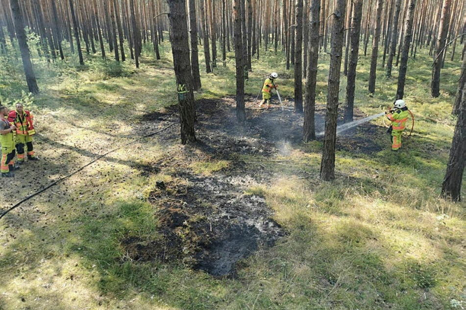 Glück gehabt: Dank der Feuerwehren Klitten und Uhyst konnte vor wenigen Tagen ein Waldbrand nahe des Bärwalder Sees gelöscht werden. Nun sinkt die Waldbrandgefahr wieder.