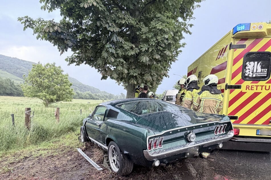 Ein Ford Mustang ist am Sonntagabend in Pillnitz gegen einen Baum geprallt.