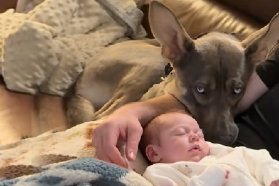 Schnell war klar: Der Hund würde ein guter Freund für das Kind werden.