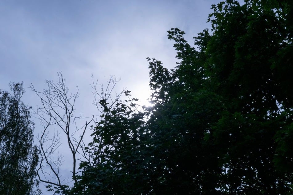 Die Sonne setzt sich wieder durch. (Archivfoto)