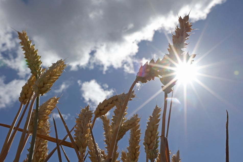Sonne und Wolken wechseln sich in den kommenden Tagen in Köln und NRW ab. (Symbolfoto)