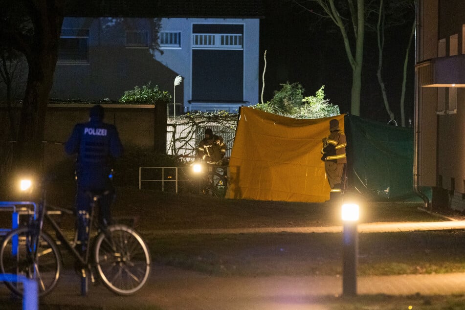 Ein Sichtschutz wurde vor dem Wohnhaus im Landkreis Wesel errichtet.