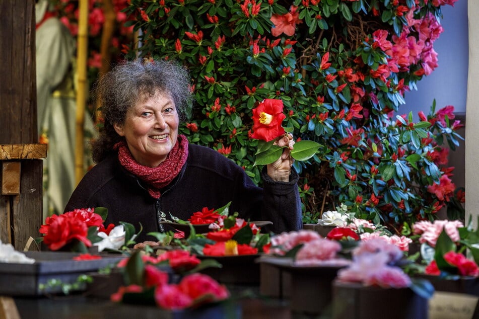 Marion Riedel (65) arrangiert die ersten Blüten in flachen Schalen und Keramikgefäßen.