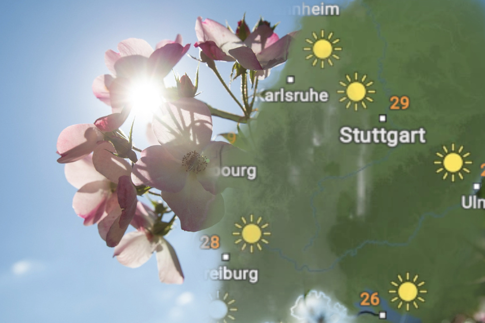 Das Wetter wird in Baden-Württemberg weiter heiß bleiben. Gewitter könnten in den kommenden Tagen etwas Abkühlung bringen.