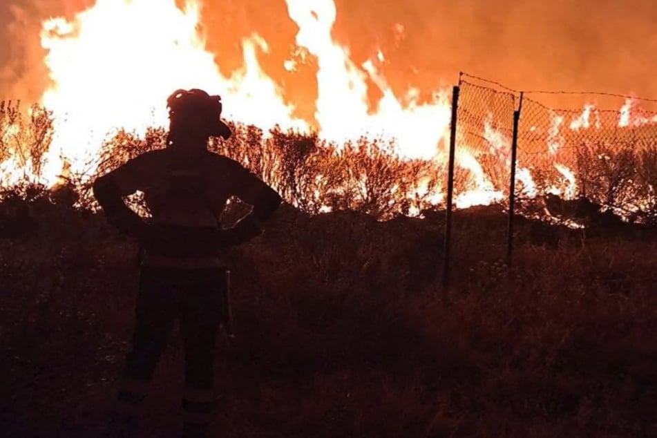 Das Feuer breitete sich rasend schnell aus. Mehr als 1000 Menschen wurden evakuiert.