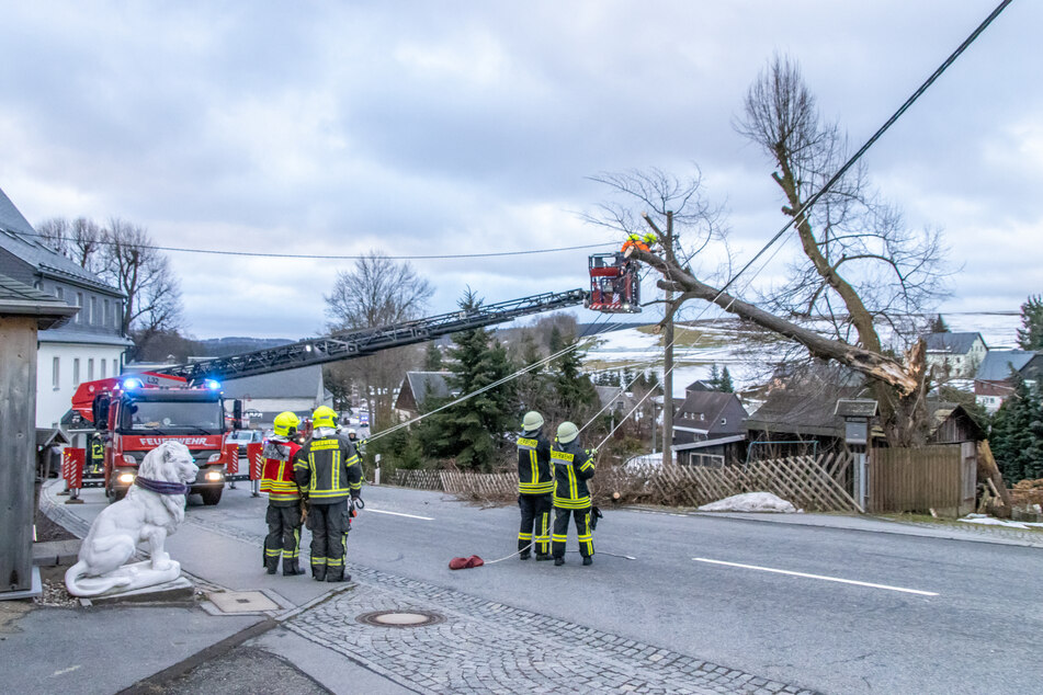 Auf der B95 in Thum, kurz vor dem Ortsausgang in Richtung Gelenau, stürzte am Sonntagmorgen ein Baum in eine Freileitung.