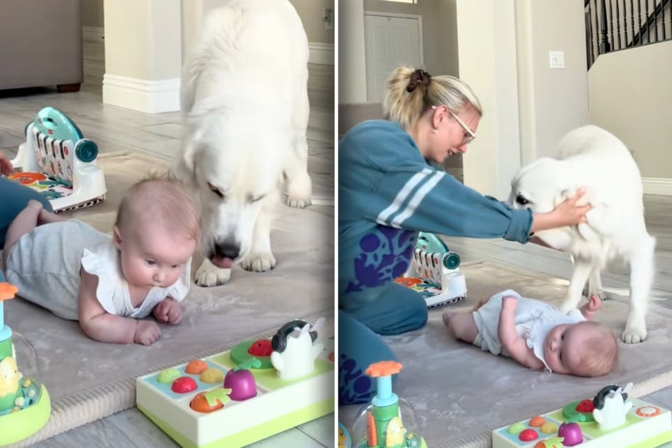 Tori Harley (23) will gerade mit ihrem Baby allein sein. Doch Golden Retriever Teddy will nicht wirklich weg von ihr - auch wenn sie ihn nach hinten drückt.