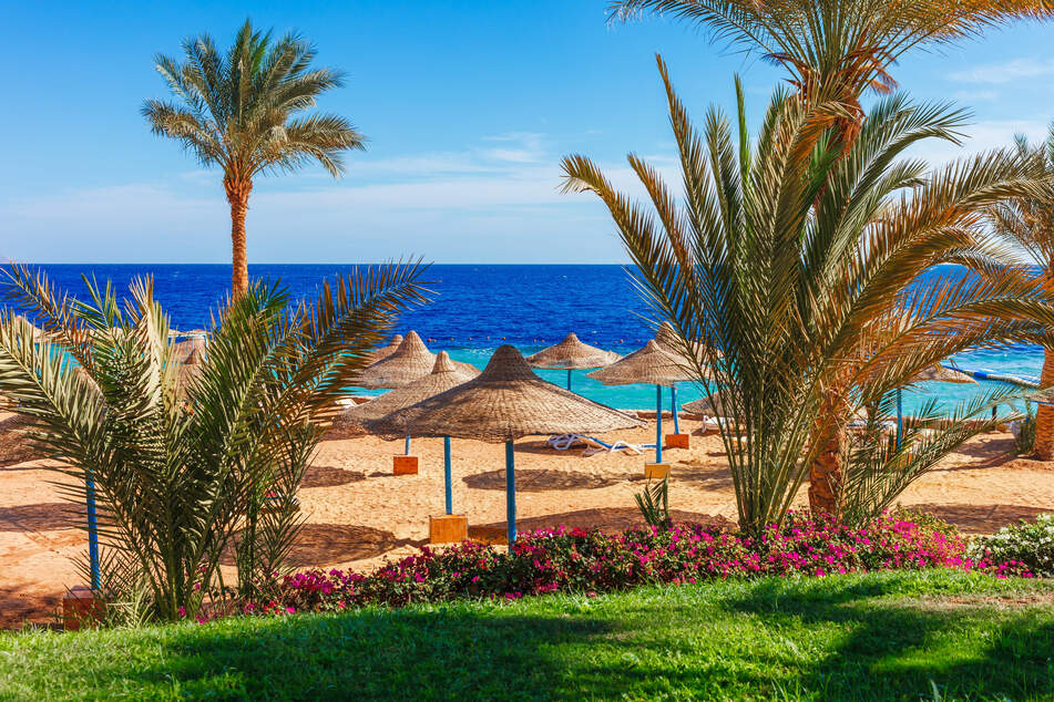 Im Urlaubsparadies am Roten Meer genoss das Paar die kinderfreie Zeit. (Symbolfoto)