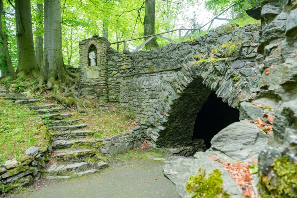 Im Klosterpark Altzella stehen Bäume, die fast 200 Jahre alt sind.