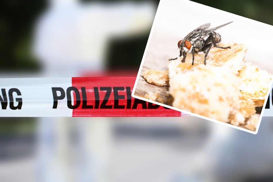 Mord an eigener Mutter? Forensiker spricht über schockierenden Fall in Sachsen-Anhalt