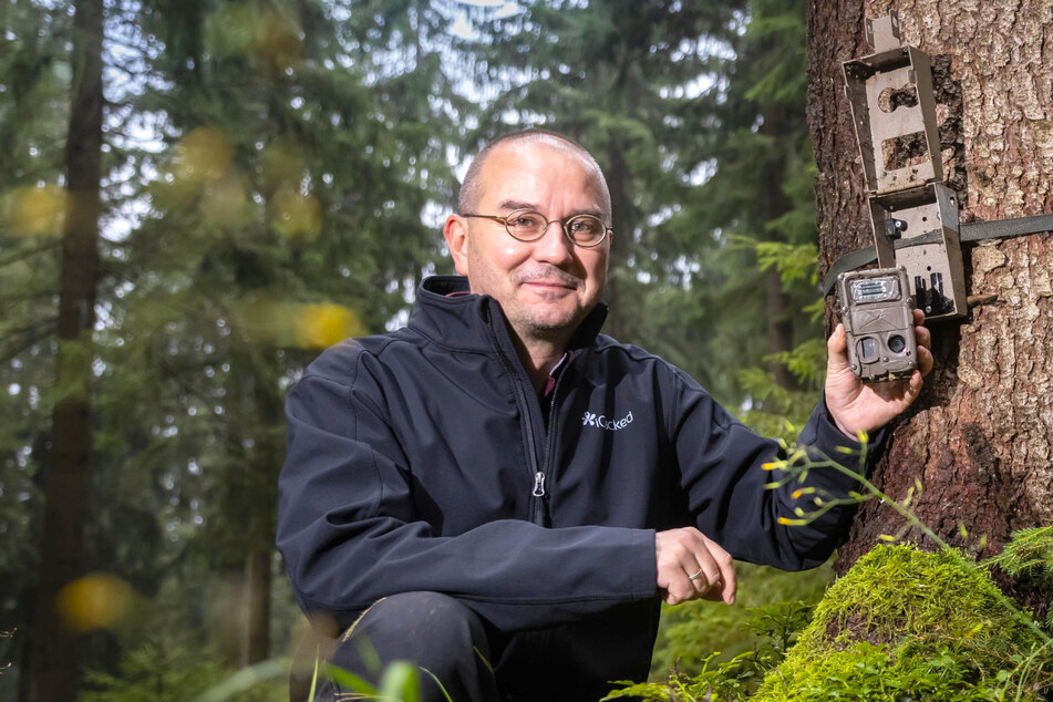 Biologe Sven Erlacher (52) wertet regelmäßig die Aufzeichnungen von Wildtierkameras aus.