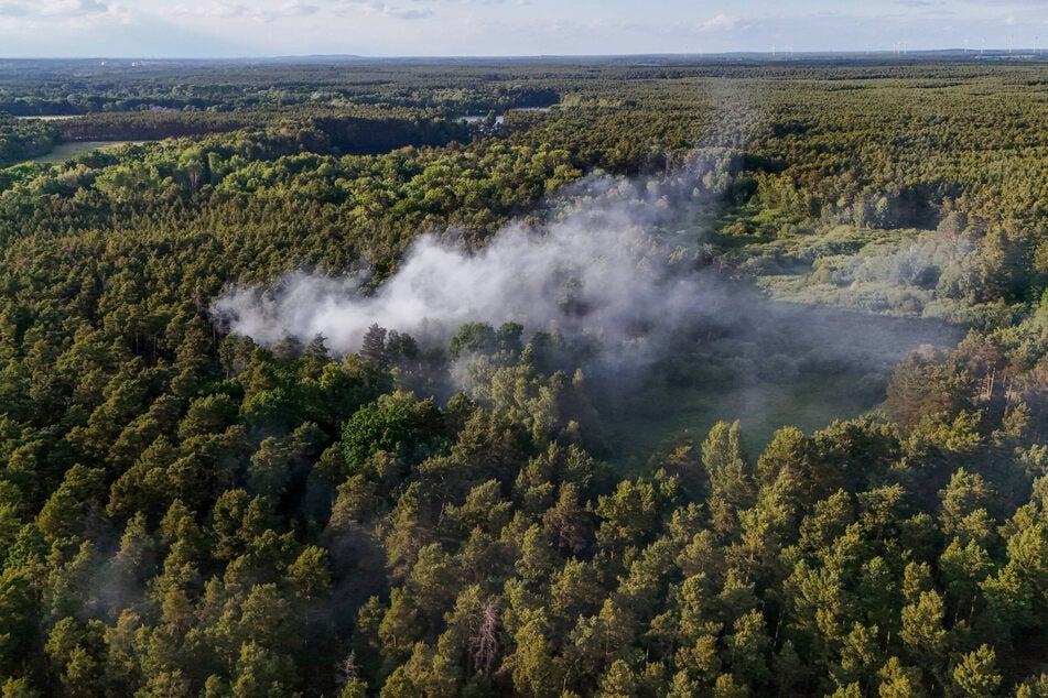Das Feuer wütete auf einer Fläche von etwa 2000 Quadratmetern.