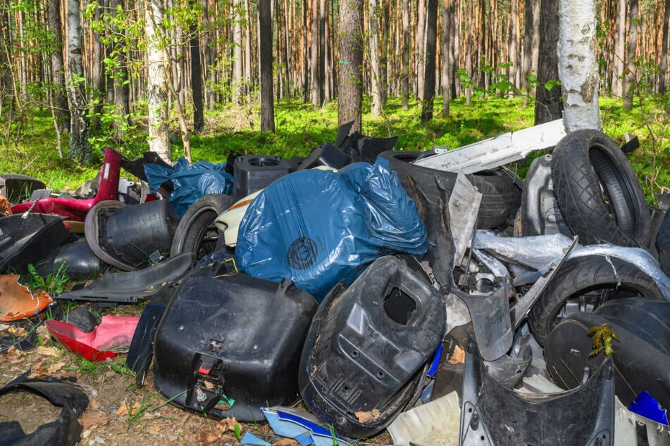 Berlin: Umwelt-Sauerei in Reinickendorf: Spaziergänger entdeckt illegale Müllkippe