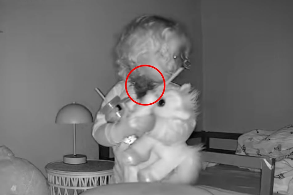 Sabrina (2) zabiera ze sobą wiele rzeczy, gdy nocą idzie do rodziców. Jednak nie tylko jej matka jest zdezorientowana: mała dziewczynka ciągnie ze sobą także małą roślinę doniczkową.