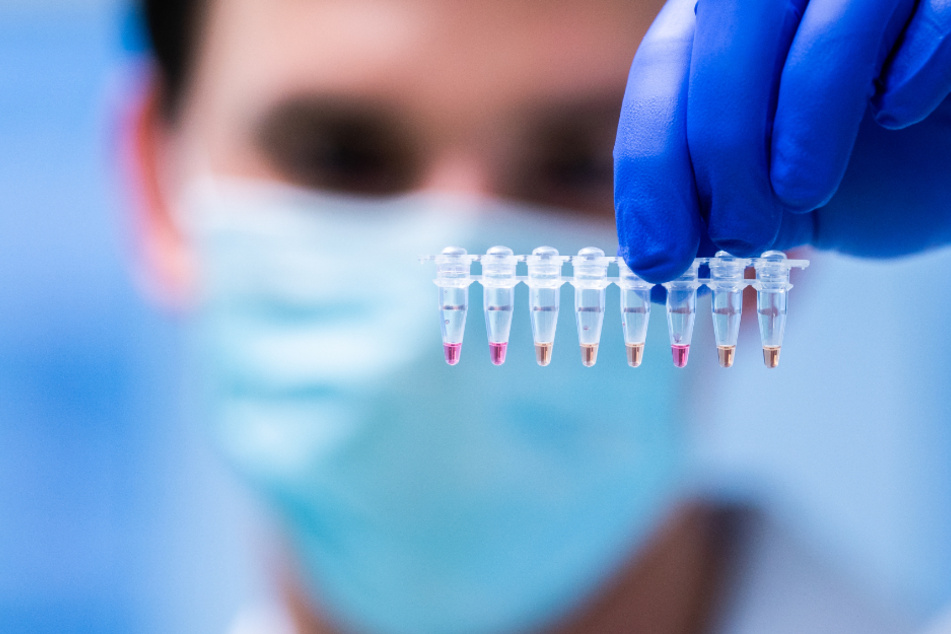 Proben werden auf das Coronavirus untersucht.