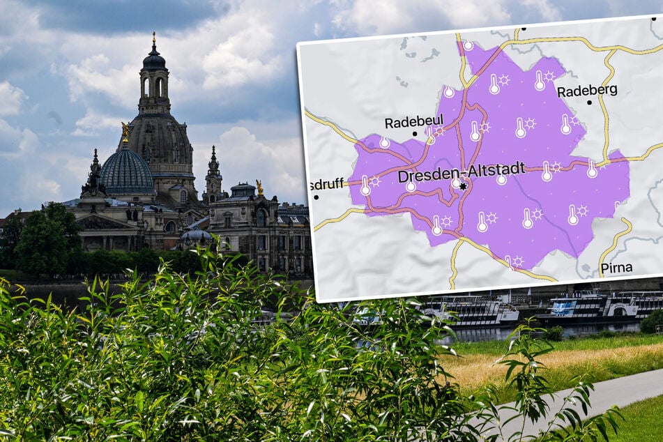 Temperaturen steigen, Gewitter drohen: Dieses Wetter steht Dresden bevor