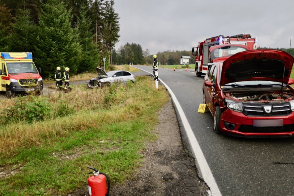 Der Dacia kam nach dem Unfall von der Fahrbahn ab und auf der angrenzenden Wiese zum Stehen.