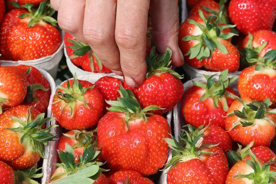 Wie bei einer Dschungelprüfung: Frau ekelt sich vor Erdbeeren und Orangen