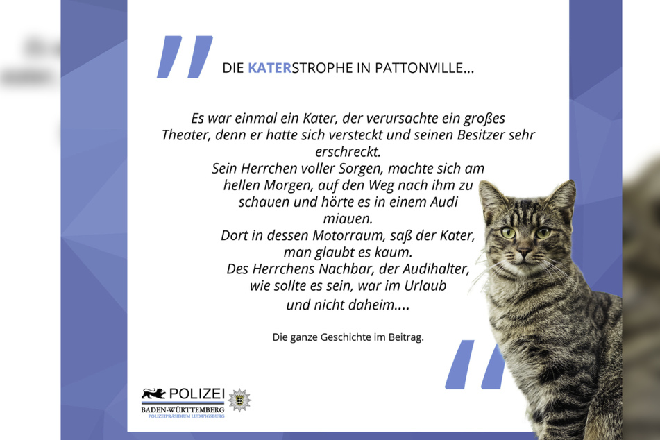 Das Polizeipräsidium Ludwigsburg erzählt auf Facebook von einem kuriosen tierischen Einsatz. "Die Katerstrophe in Pattonville" wird dabei in Gedichtform widergegeben. (Screenshot)