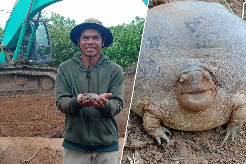 Lim Khyhong proudly holds the extraordinary little animal.