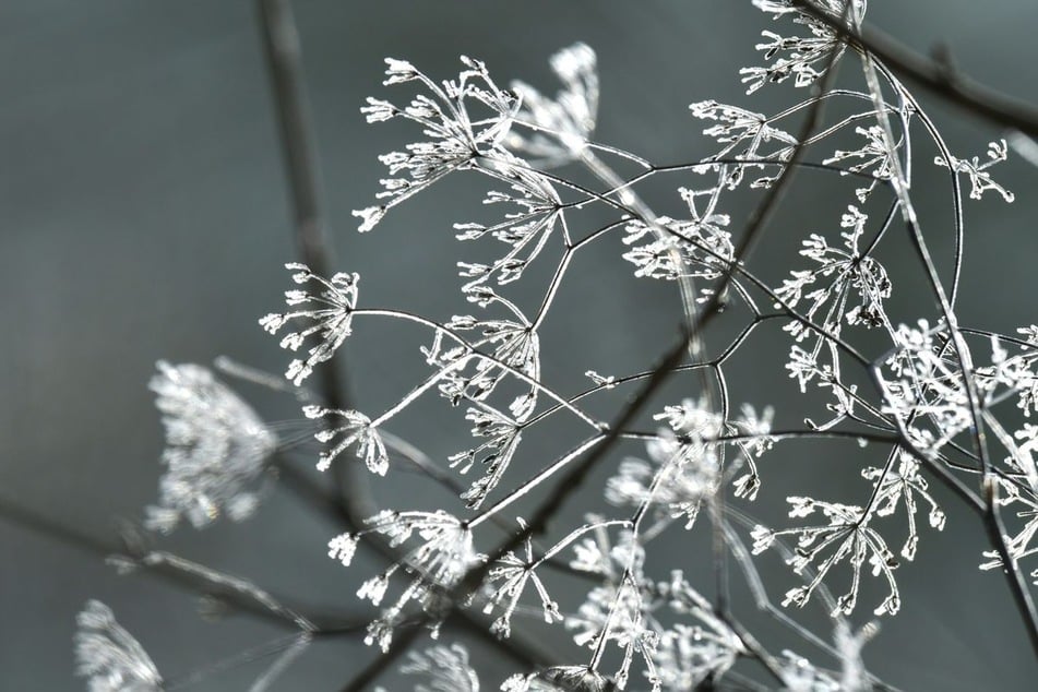 Für die Weihnachtswoche haben Wetterexperten einen Kälteeinbruch angekündigt.