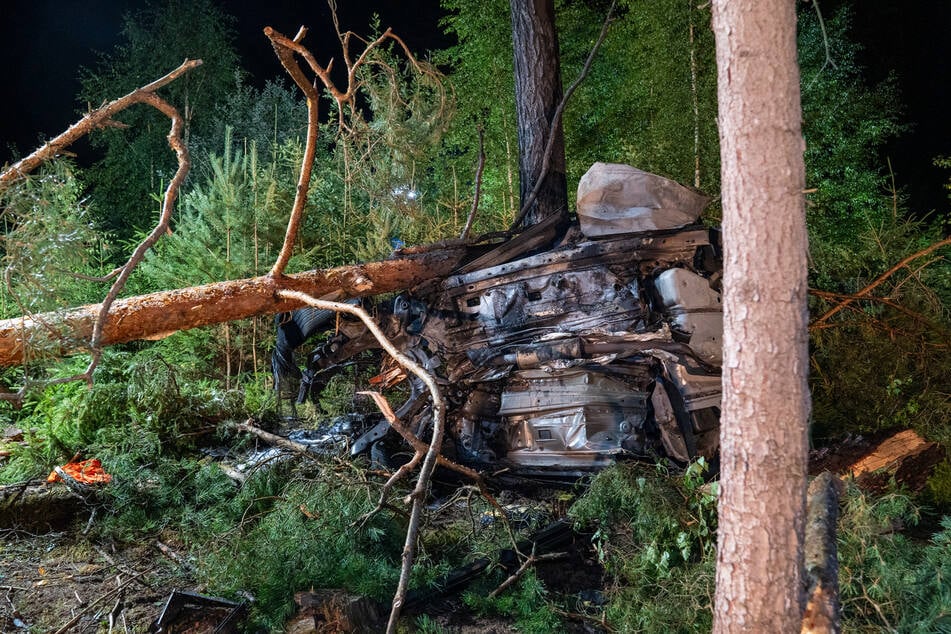 Das Auto riss mehrere Bäume mit sich und krachte schließlich gegen einen Stamm, wo es in Flammen aufging.