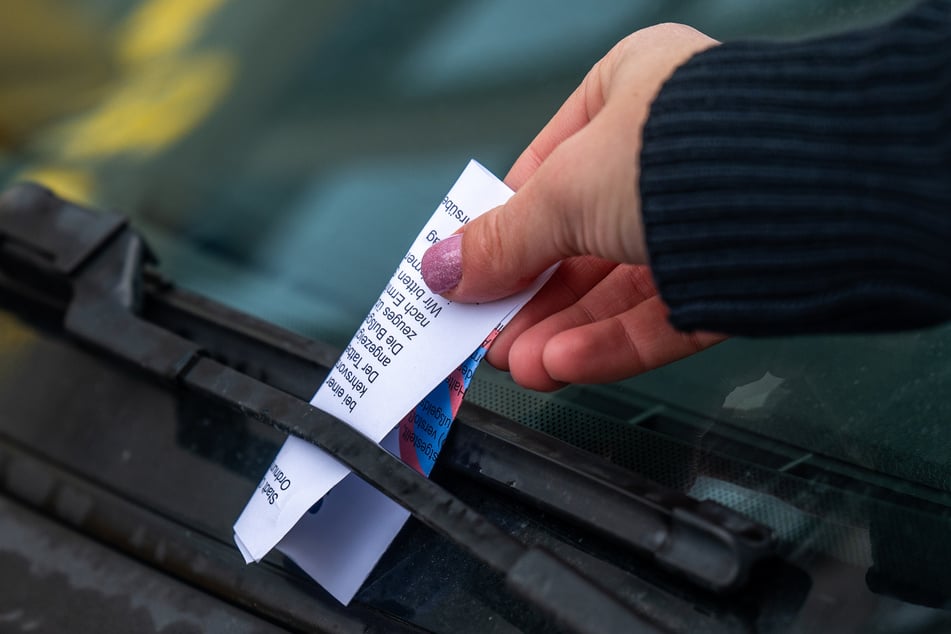 In Chemnitz wurden 2025 eine Menge Knöllchen verteilt.