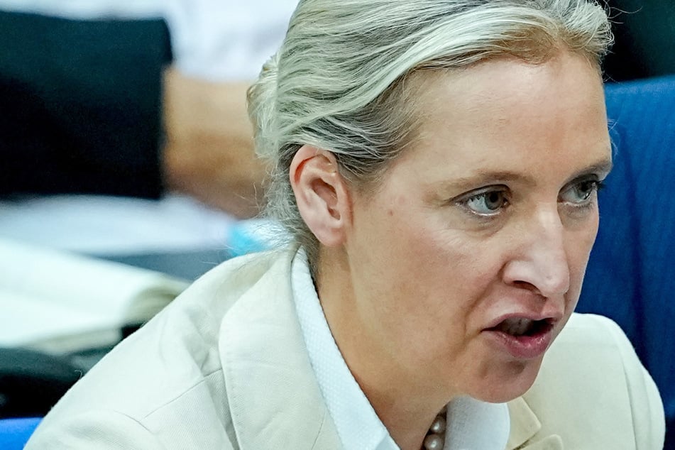 Alice Weidel (46, AfD) richtete einen ersten Appell an den russischen Machthaber. (Archivbild)